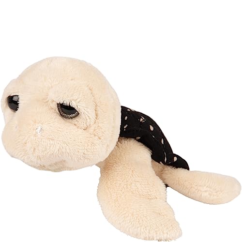 Suki Gifts International Kleine Nico Turtle (14563) von Suki Gifts