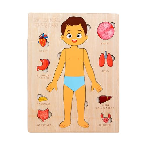 Kinderkörperpuzzle Spielzeug, Anatomie -Spielset, pädagogisches Holz menschliches Körperpuzzle, leicht und tragbar, 22,8 x 18 x 1Cm, geschichtete abnehmbare Stücke, für Kinder Mädchen Kinderkörperpuzzle Spielzeug, Anatomie -Spielset, pädagogisches Holz menschliches Körperpuzzle, leicht und tragbar, 22,8 x 18 x 1Cm, geschichtete abnehmbare Stücke, für Kinder Mädchen von Sulxyi