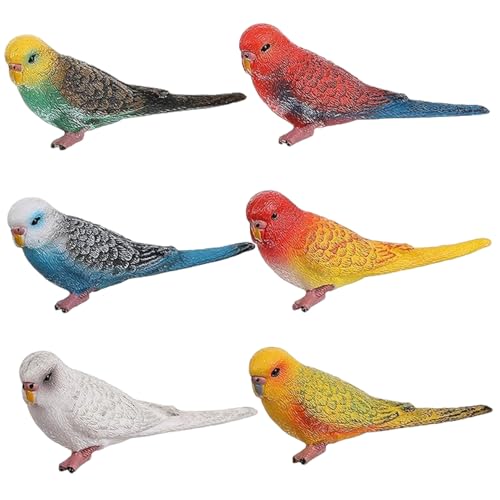 6-teilige Vogelfiguren, realistisches Wellensittich-Papagei-Spielzeug, Tortenaufsatz, Tierfiguren, pädagogisches Lernspielzeug, Geburtstagsgeschenkset, Tierspielzeug für Kinder, Jungen und Mädche 6-teilige Vogelfiguren, realistisches Wellensittich-Papagei-Spielzeug, Tortenaufsatz, Tierfiguren, pädagogisches Lernspielzeug, Geburtstagsgeschenkset, Tierspielzeug für Kinder, Jungen und Mädche von SunaOmni