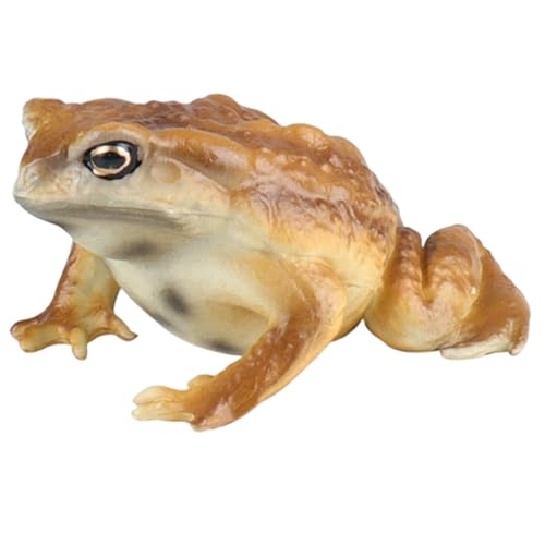 Krötenfigur, realistische, simulierte Frosch- und Kröten-Tierfiguren für Kinder, pädagogisches Tiermodell für Geburtstage, Partygeschenke und Wissenschaftsprojekte, Tierfiguren, pädagogisches Spi Krötenfigur, realistische, simulierte Frosch- und Kröten-Tierfiguren für Kinder, pädagogisches Tiermodell für Geburtstage, Partygeschenke und Wissenschaftsprojekte, Tierfiguren, pädagogisches Spi von SunaOmni