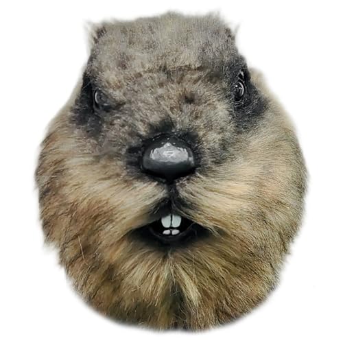 SunaOmni Murmeltiermaske, 27, 9 cm, Vollkopf, Murmeltier-Pelzmaske, Halloween, Cosplay, Kostüm, Requisite für Partybälle, Tiermasken SunaOmni Murmeltiermaske, 27, 9 cm, Vollkopf, Murmeltier-Pelzmaske, Halloween, Cosplay, Kostüm, Requisite für Partybälle, Tiermasken von SunaOmni
