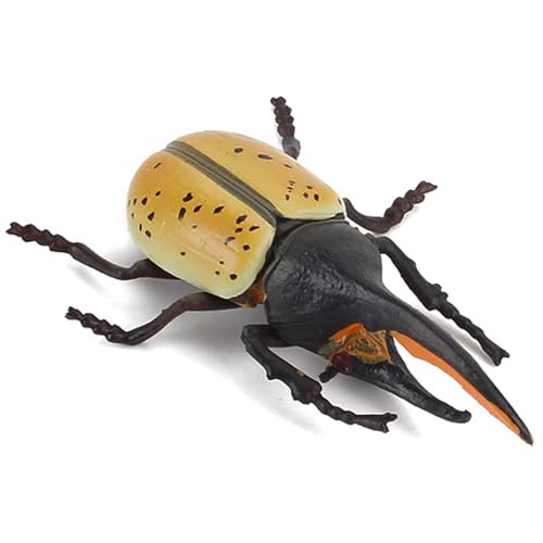 Tierfiguren, 7, 6 x 5, 1 x 2, 5 cm, realistische Plastikkäfer für Wissenschaftsprojekte und Tortenaufsätze, praktisches, frühpädagogisches Insektenspielzeug für Kleinkinder im Alter von 3, 4 und J Tierfiguren, 7, 6 x 5, 1 x 2, 5 cm, realistische Plastikkäfer für Wissenschaftsprojekte und Tortenaufsätze, praktisches, frühpädagogisches Insektenspielzeug für Kleinkinder im Alter von 3, 4 und J von SunaOmni