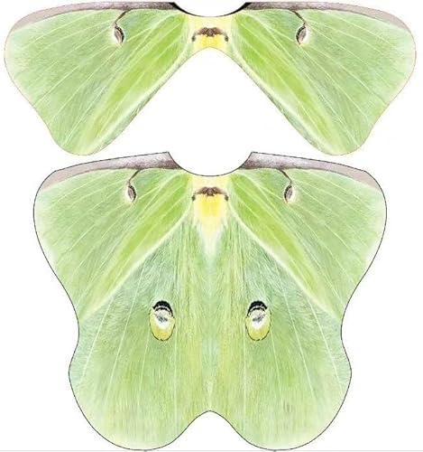 Halloween-Kostüme für Damen, Schmetterlings-Kostüme, Flügelumhang, Schal, 3 Stück, Dynamische, doppellagige Libelle, Grün, 198CM*140CM von Sunlisky