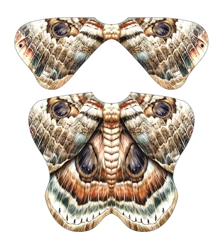 Halloween-Kostüme für Damen, Schmetterlings-Kostüme, Flügelumhang, Schal, 3 Stück, Dynamischer, doppellagiger Totblatt-Schmetterling, 198CM*140CM von Sunlisky