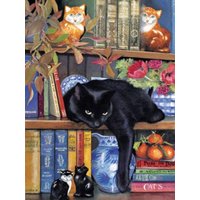 On the Shelf 1000 PC Puzzle On the Shelf 1000 PC Puzzle von SunsOut