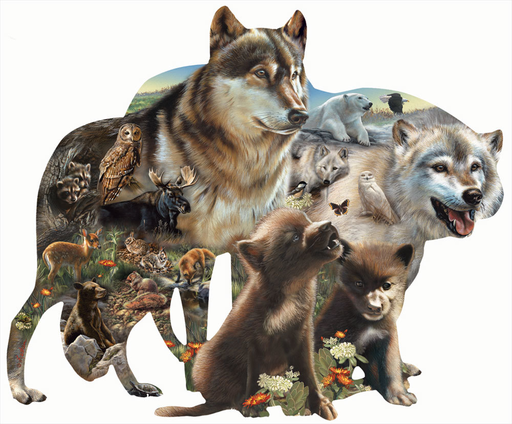 SunsOut Bonnie, Rebecca and Karen Latham - Wolf Pack 1000 Teile Puzzle Sunsout-95739 SunsOut Bonnie, Rebecca and Karen Latham - Wolf Pack 1000 Teile Puzzle Sunsout-95739 von SunsOut
