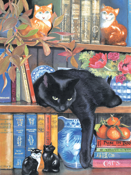 SunsOut Chrissy Snelling - On the Shelf 1000 Teile Puzzle Sunsout-CL59367 von SunsOut