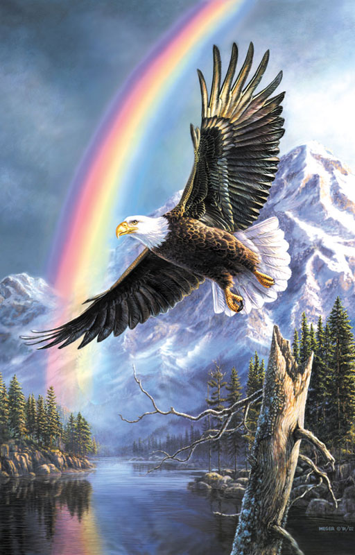 SunsOut James Meger - Eagle of Promise 1000 Teile Puzzle Sunsout-28472 von SunsOut