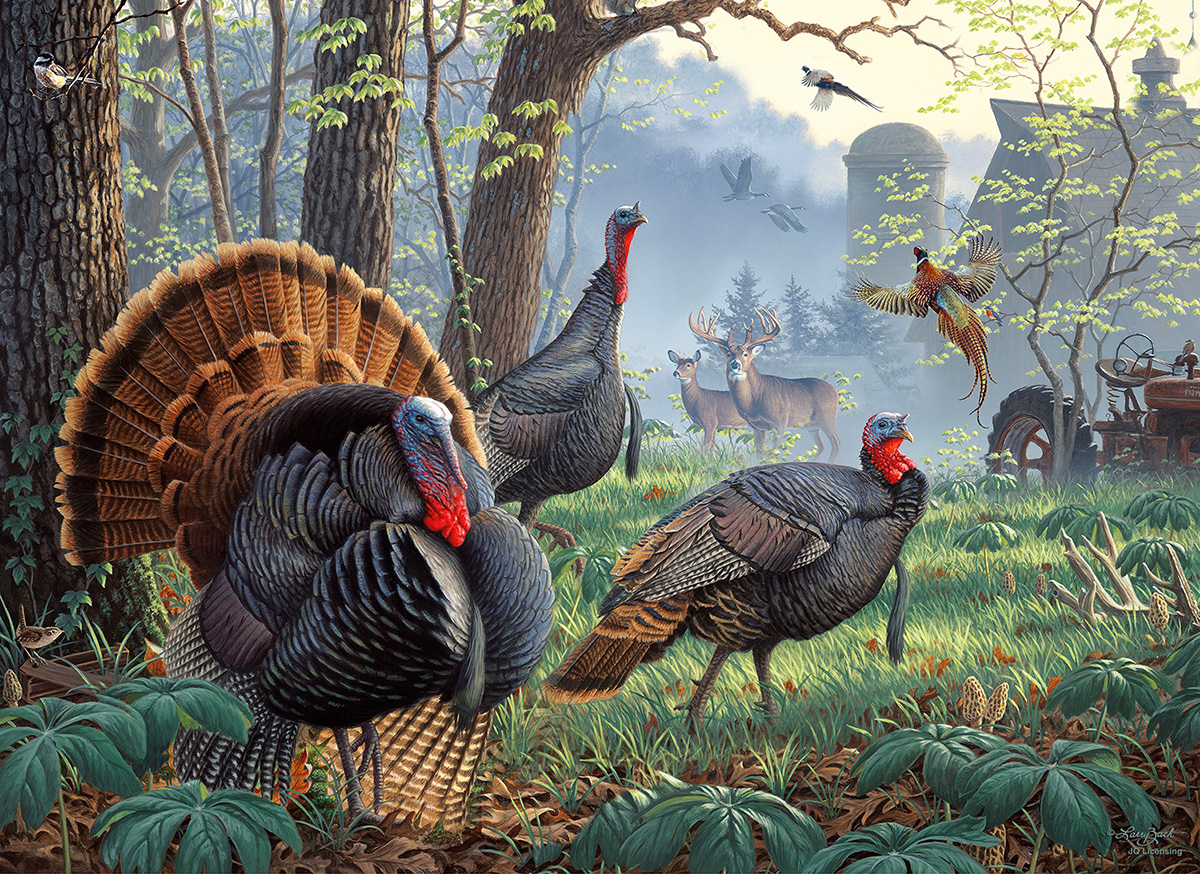 SunsOut Larry Zach - Old Tom's Farm 1000 Teile Puzzle Sunsout-52403 von SunsOut