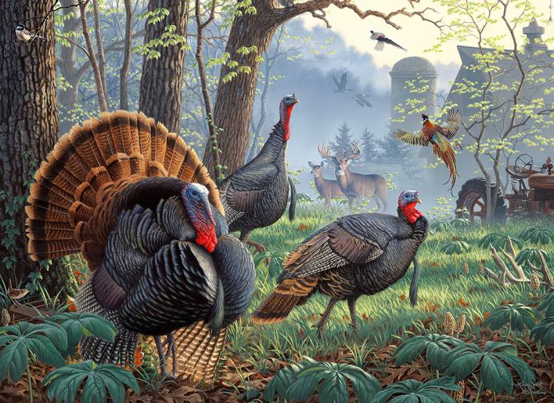 SunsOut Larry Zach - Old Tom's Farm 1000 Teile Puzzle Sunsout-52403 von SunsOut