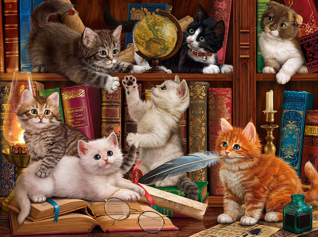 SunsOut Library Kittens 1000 Teile Puzzle Sunsout-42962 von SunsOut