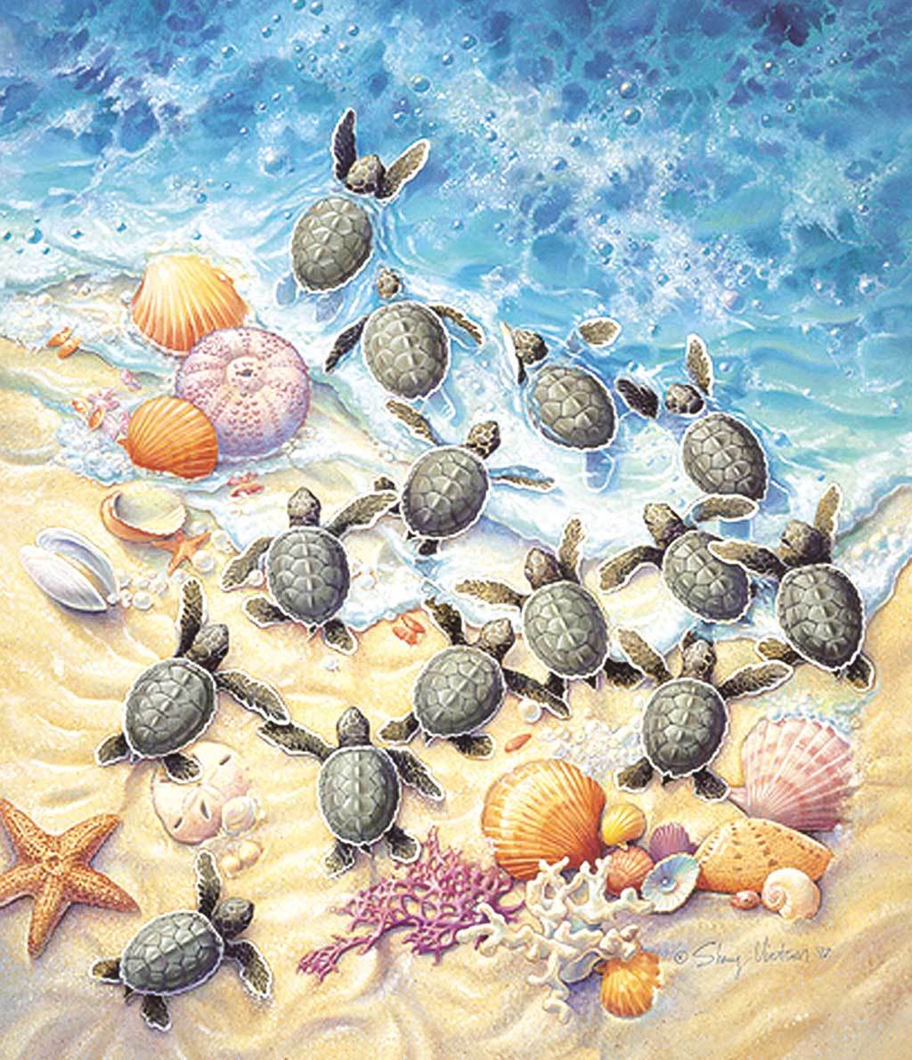 SunsOut Sherry Vintson - Green Turtle Hatchlings 550 Teile Puzzle Sunsout-SV45501 von SunsOut