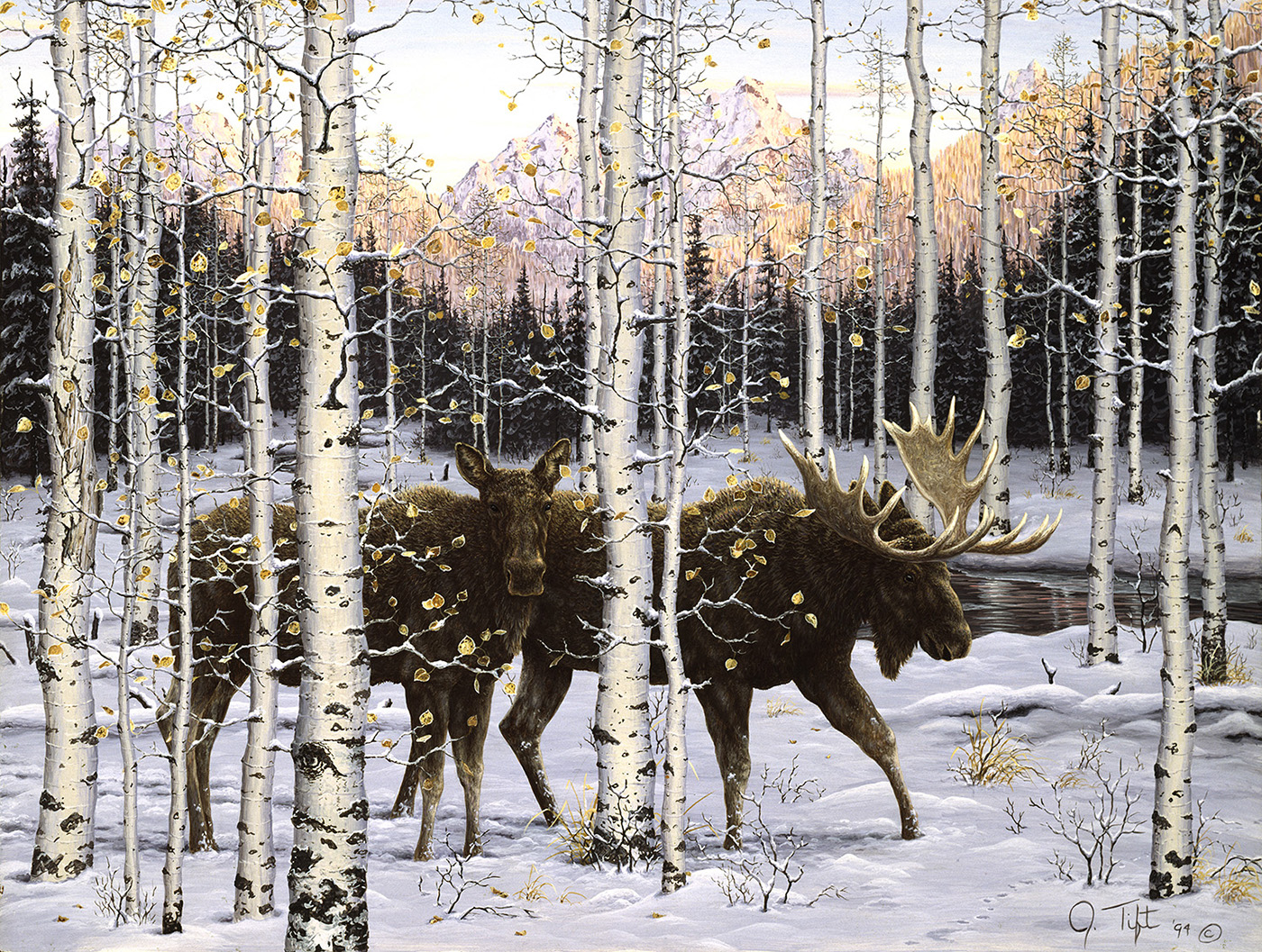 SunsOut XXL Teile - Abenddämmerung im Wald 500 Teile Puzzle Sunsout-36532 SunsOut XXL Teile - Abenddämmerung im Wald 500 Teile Puzzle Sunsout-36532 von SunsOut