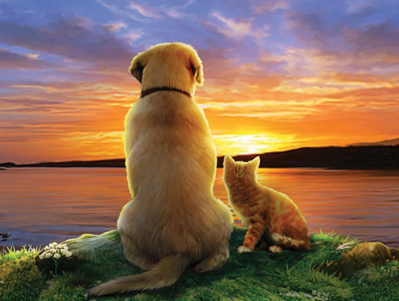 SunsOut XXL Teile - As the Sun Sets 300 Teile Puzzle Sunsout-59388 SunsOut XXL Teile - As the Sun Sets 300 Teile Puzzle Sunsout-59388 von SunsOut