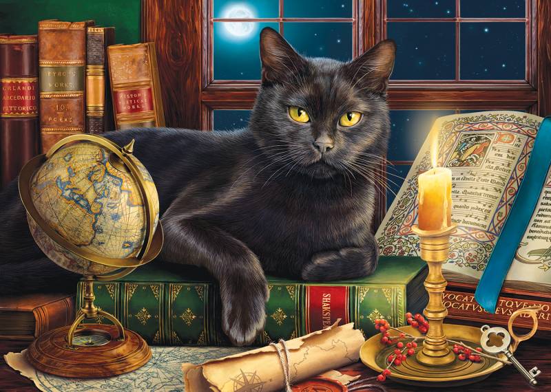 SunsOut XXL Teile - Black Cat by Candlelight 500 Teile Puzzle Sunsout-42906 von SunsOut