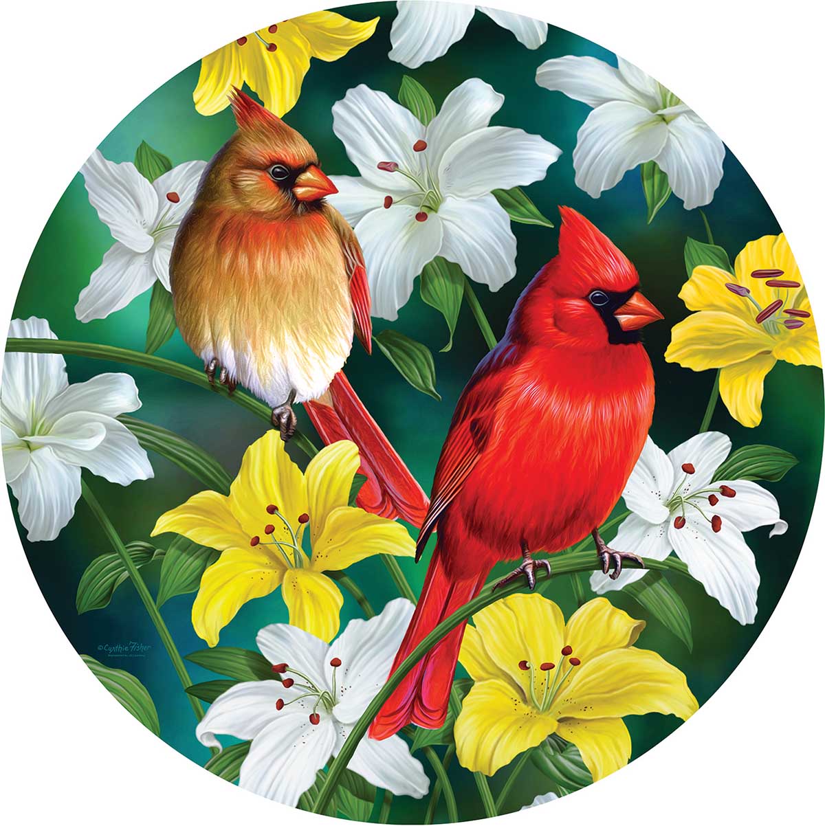 SunsOut XXL Teile - Cardinals in the Round 500 Teile Puzzle Sunsout-70965 SunsOut XXL Teile - Cardinals in the Round 500 Teile Puzzle Sunsout-70965 von SunsOut