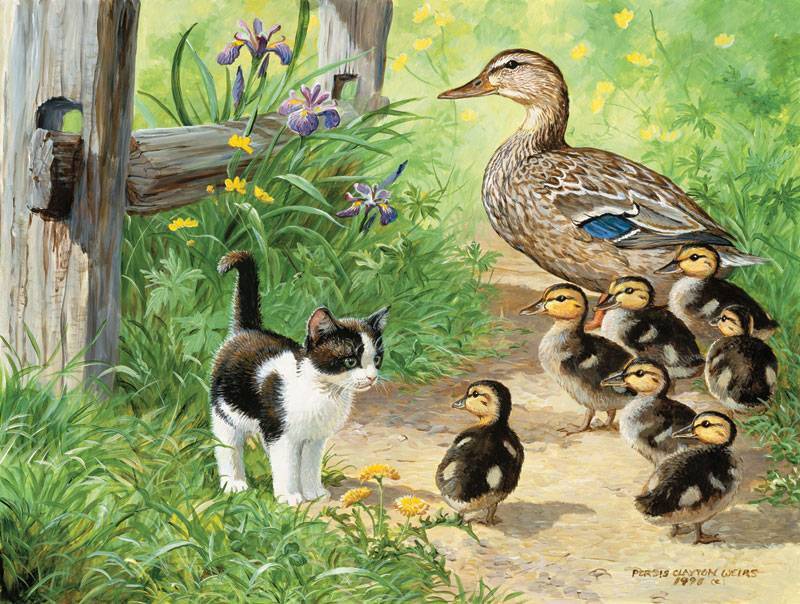 SunsOut XXL Teile - Duck Inspector 500 Teile Puzzle Sunsout-51917 von SunsOut