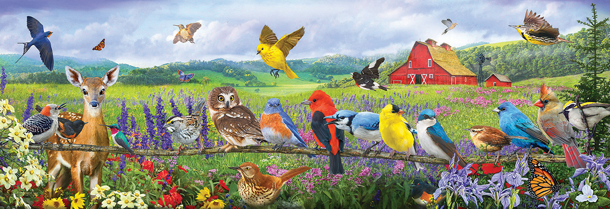 SunsOut XXL Teile - Eastern Birds 500 Teile Puzzle Sunsout-71055 SunsOut XXL Teile - Eastern Birds 500 Teile Puzzle Sunsout-71055 von SunsOut