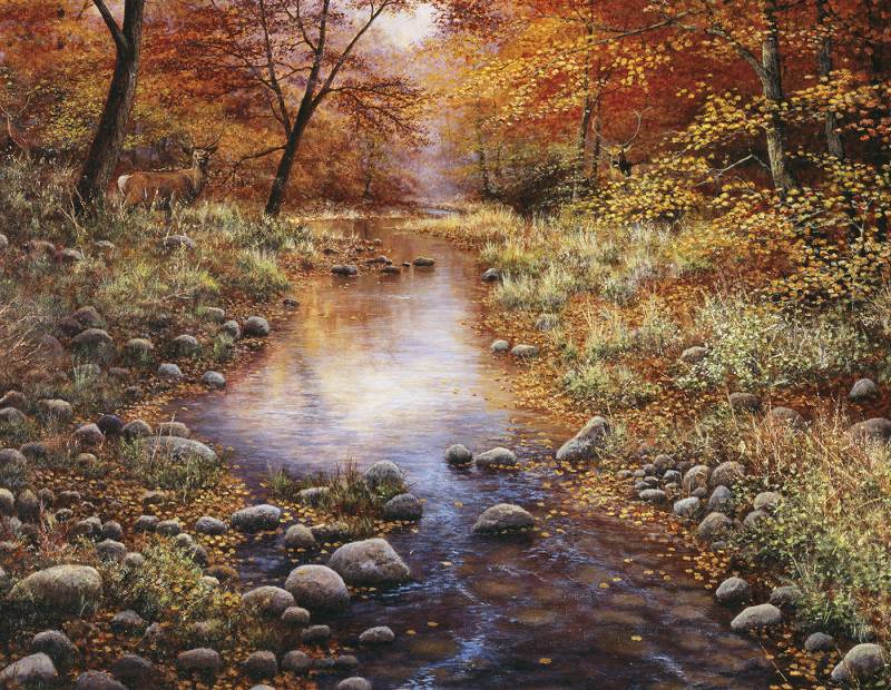 SunsOut XXL Teile - Golden Forest 1000 Teile Puzzle Sunsout-44740 von SunsOut