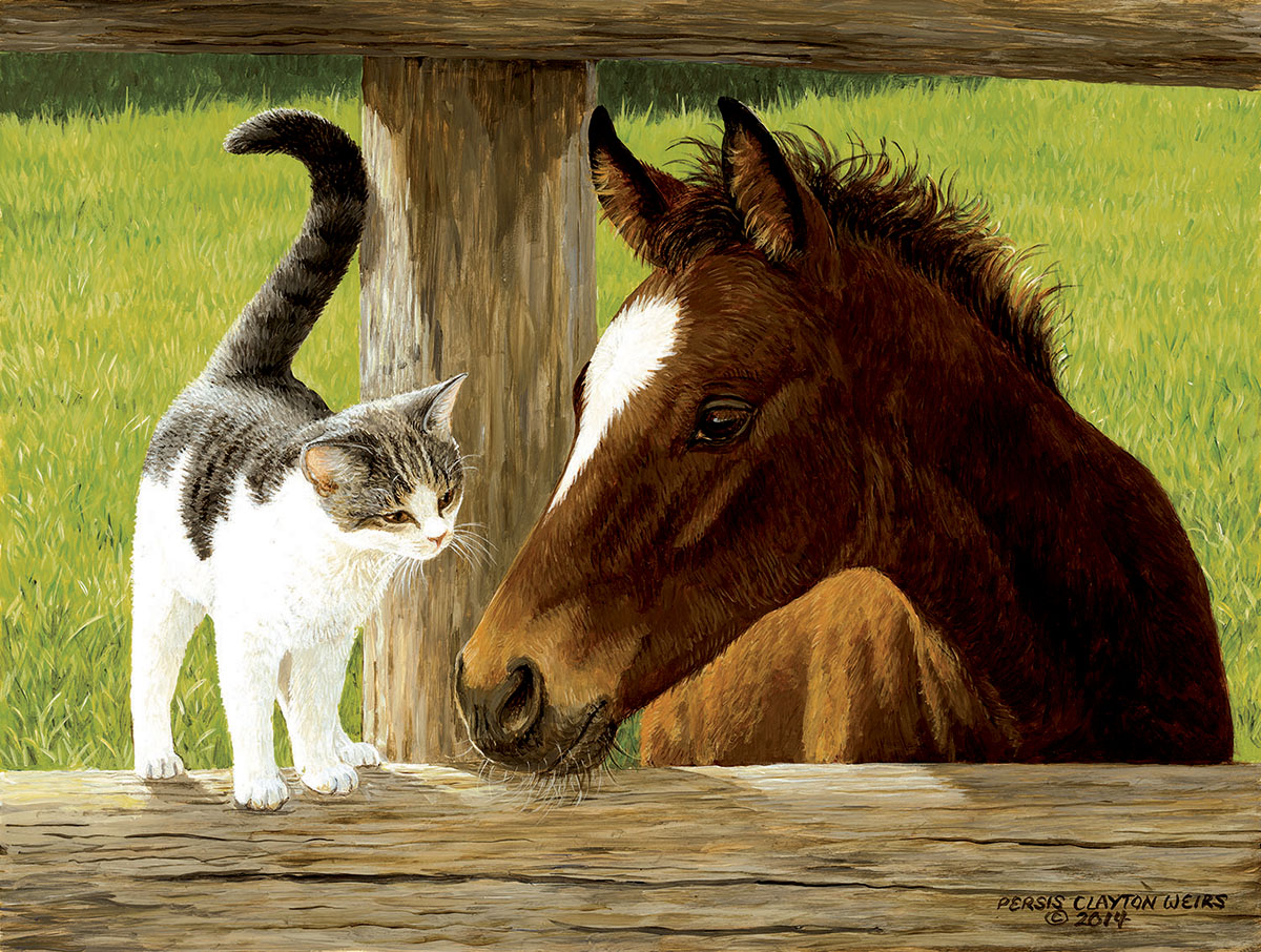 SunsOut XXL Teile - Whiskery Hello 500 Teile Puzzle Sunsout-51528 von SunsOut