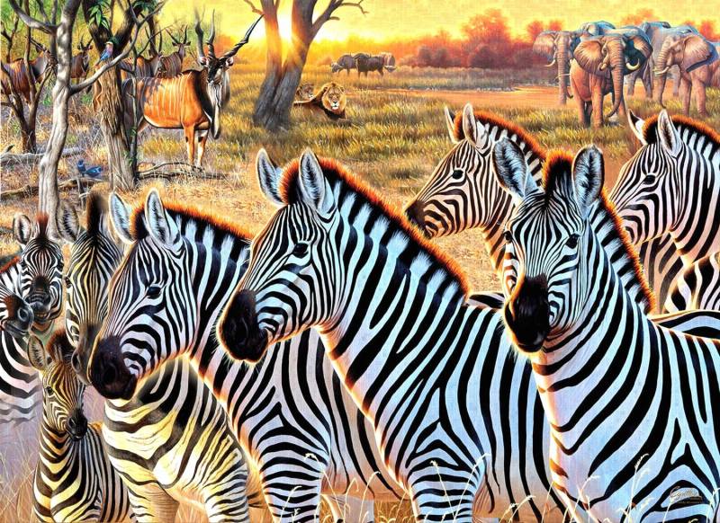 SunsOut XXL Teile - Zebras und Freunde 500 Teile Puzzle Sunsout-70970 von SunsOut