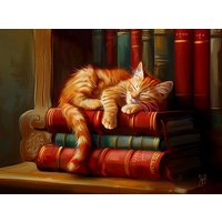 Library Nap 1000 Puzzle Library Nap 1000 Puzzle von Sunsout Inc.