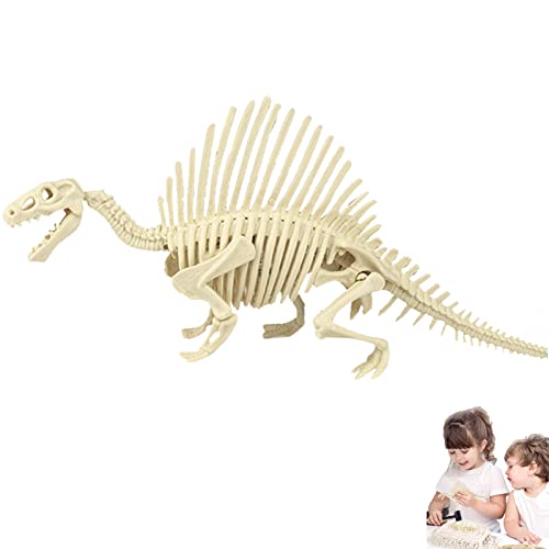 Dinosaurier-Fossil-Kit, Langlebiges Dino-Skelett-Fossilien-Ausgrabungsset, Pädagogisches Geschenk für Science Play Dino Sand Dig Party Favor Decor Suphyee von Suphyee