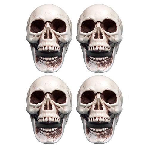 6st Skelett-requisiten Realistisches Schädeldekor Menschlicher Karnevalsschädelköpfe Plastikschädel -requisite Schädelverzierung Gefälschter Schädel Zubehör Halloween von Supvox