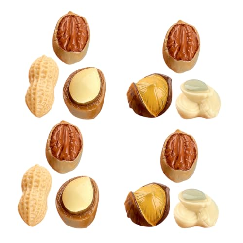 SUPVOX 15 Stück Teiliges Miniatur Mini Nüsse Deko aus Hochwertigem Resin Realistische Simulation Vielseitige Puppenhaus Dekoration Detailreich und Langlebig für Kreative Bastel von Supvox