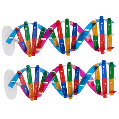SUPVOX 2 Stück DNA Doppelhelix Modell Teiliges Wissenschaftliches für Pädagogisches Biologisches Lernspielzeug Detailliertes Molekülmodell für Schulunterricht und Genomstudien von Supvox