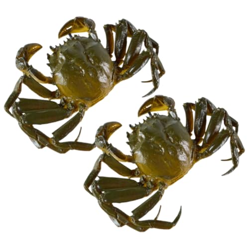 SUPVOX 2 Stück Teiliges Realistisches Krabbenmodell aus Langlebigem Material Detailgetreue Simulation Pädagogisches Meerestier und Dekoratives für Interaktives Lernen und Kreative SUPVOX 2 Stück Teiliges Realistisches Krabbenmodell aus Langlebigem Material Detailgetreue Simulation Pädagogisches Meerestier und Dekoratives für Interaktives Lernen und Kreative von Supvox