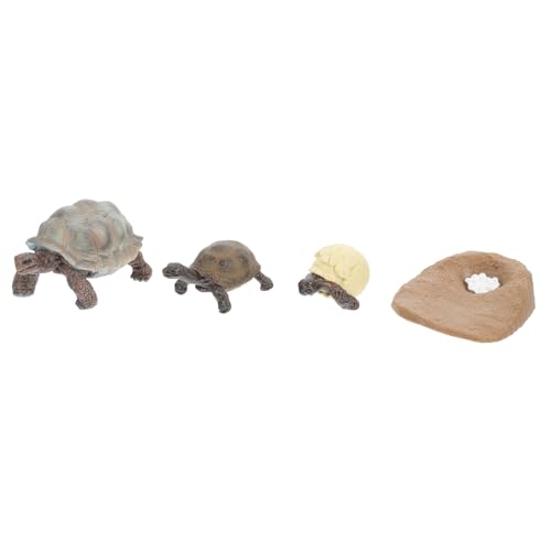 SUPVOX 4 Stück Teiliges Schildkröten Wachstumszyklus aus Robustem PVC mit Realistischen Figuren für Pädagogisch zur Anschaulichen Darstellung des Lebenszyklus von Zufällige Farbe SUPVOX 4 Stück Teiliges Schildkröten Wachstumszyklus aus Robustem PVC mit Realistischen Figuren für Pädagogisch zur Anschaulichen Darstellung des Lebenszyklus von Zufällige Farbe von Supvox