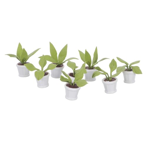 SUPVOX 8 Stück Teiliges Miniatur Bonsai Lebensechte Miniatur Pflanzen aus Harz Farbintensiv Widerstandsfähig Kompakt für Puppenhaus-Dekoration und Kleine Landschaftsgestaltung von Supvox
