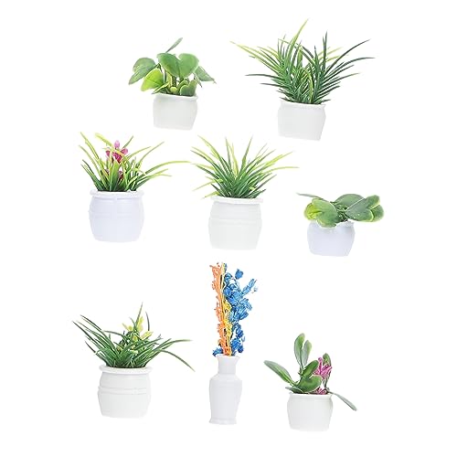 SUPVOX 8 Stück Teiliges Miniatur Pflanzenmodell Kreative Mini Pflanzen Spielzeuge für Sicher Leicht für DIY Puppenhaus Dekoration Zufälliger Stil Mini Pflanzen von Supvox