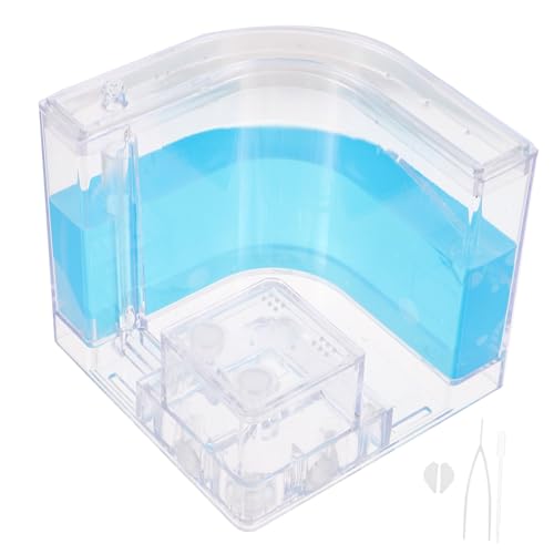 SUPVOX Ants Nest Science Experiment Box Ökologisches Formicarium Für Ameisen Atmungsaktives Design Lernspielzeug Für Erwachsene Leicht Und Tragbar Für Unterricht von Supvox