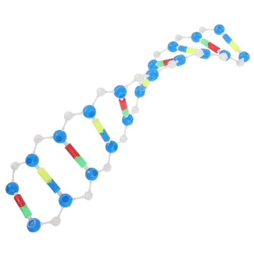 SUPVOX DNA Doppelhelix Modell Bausatz Selbstzusammenbau Lehrmittel für Biologie Unterricht Detailgetreues Bildungsmodell für Klassenzimmer und Labore Fördert Konzentration und SUPVOX DNA Doppelhelix Modell Bausatz Selbstzusammenbau Lehrmittel für Biologie Unterricht Detailgetreues Bildungsmodell für Klassenzimmer und Labore Fördert Konzentration und von Supvox