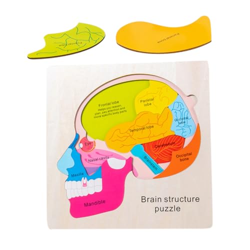SUPVOX Holzpuzzle für Kleinkinder Gehirnstruktur Lernspielzeug Kognitive Holzpuzzle für Kreative und Logisches SUPVOX Holzpuzzle für Kleinkinder Gehirnstruktur Lernspielzeug Kognitive Holzpuzzle für Kreative und Logisches von Supvox