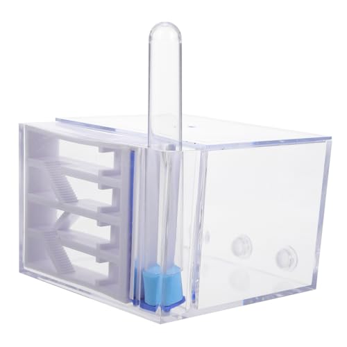 SUPVOX Integrierte Ameisenfarm mit Nest aus Transparentem Acryl Einfach zu Beobachten Pflegen Pädagogisches Lernspielzeug für Anfänger Sicheres Habitat für Kleine Ameisen SUPVOX Integrierte Ameisenfarm mit Nest aus Transparentem Acryl Einfach zu Beobachten Pflegen Pädagogisches Lernspielzeug für Anfänger Sicheres Habitat für Kleine Ameisen von Supvox