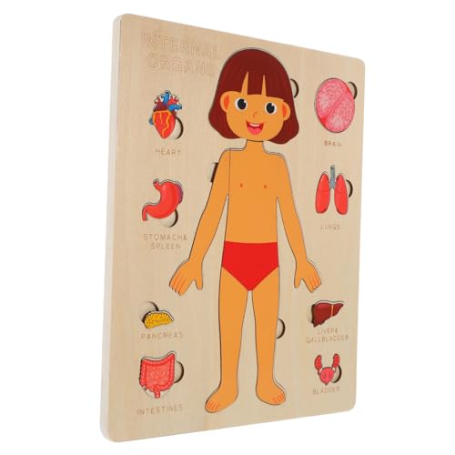 SUPVOX Körperorgane Puzzle für Lernspiel für Kleinkinder Fördert Kognitive Fähigkeiten aus Holz für Jungen und Mädchen zu Geburtstag und Weihnachten von Supvox