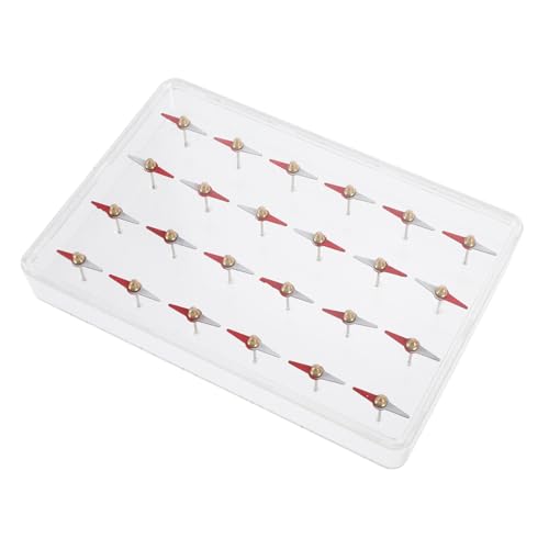 SUPVOX Magnetisches Molekülmodell Teilig mit Kleinen Magnetischen Nadeln Magnetisches Feld Demonstrator Lernspielzeug für Schüler zur Physikunterricht und Magnetismus Experimente von Supvox