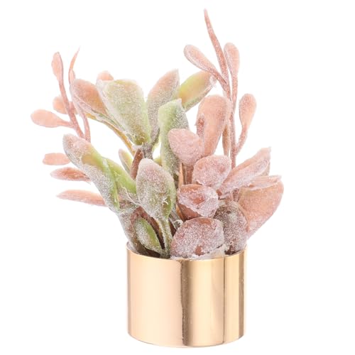 SUPVOX Miniaturisierte Künstliche Sukkulente im Dekoratives Accessoire für Puppenhäuser und Mikrolandschaften für Garten Deko und Kreative Fotografie SUPVOX Miniaturisierte Künstliche Sukkulente im Dekoratives Accessoire für Puppenhäuser und Mikrolandschaften für Garten Deko und Kreative Fotografie von Supvox