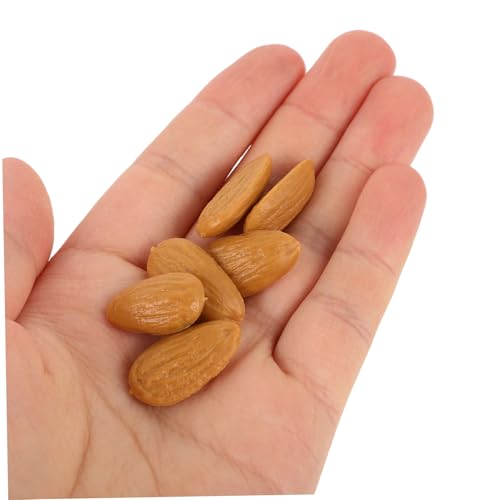 SUPVOX Realistische Künstliche Nüsse Sorten Plastik Walnuss Cashew DIY Dekoration Leicht Handgefertigt Lebensecht für Basteln Heimdeko Fotografie Zubehör von Supvox