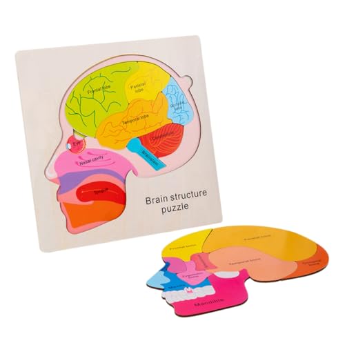 Supvox 1 Satz Gehirnstruktur-Puzzle Kinderspielzeug Gehirnspielzeug Lernpuzzlespielzeug Gehirnstrukturmodell Für Puzzle Für Gehirnstrukturmodelle Holz Supvox 1 Satz Gehirnstruktur-Puzzle Kinderspielzeug Gehirnspielzeug Lernpuzzlespielzeug Gehirnstrukturmodell Für Puzzle Für Gehirnstrukturmodelle Holz von Supvox