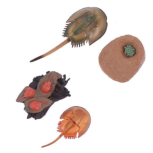 Supvox 1 Satz Horseshoe Crab Modell Tierfiguren für Realistische Desktop Dekoration für Naturwissenschaftliche Bildung und Kreatives für Vorschulkinder Wissenschaftliches Lernspielzeug Supvox 1 Satz Horseshoe Crab Modell Tierfiguren für Realistische Desktop Dekoration für Naturwissenschaftliche Bildung und Kreatives für Vorschulkinder Wissenschaftliches Lernspielzeug von Supvox