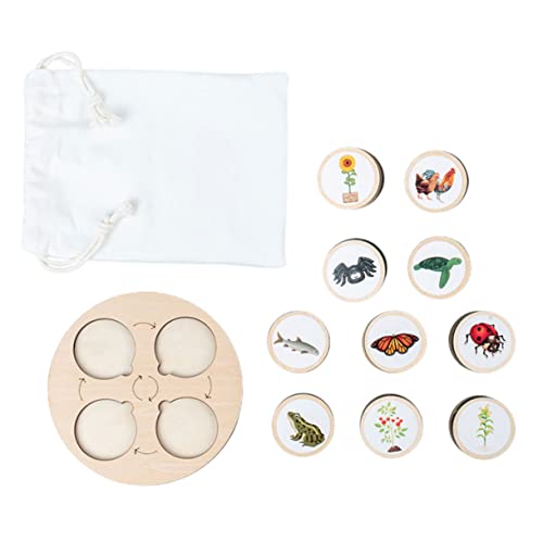 Supvox 1 Satz Lebenszyklus Spielzeugset Pädagogisches Modell für Tiere und Pflanzen Lernspielzeug für Vorschule und Bildung von Supvox