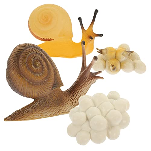 Supvox Simuliertes Schneckenspielzeug für Kinder Kognitives Lernspielzeug Schneckenwachstumszyklus Modell Pädagogisches Spielzeug für Naturentdeckung Lustiges Tiermodell von Supvox