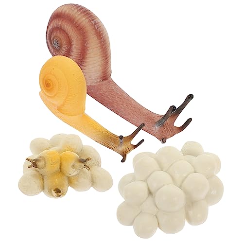 Supvox 1 Satz Schneckenwachstumsmodell nachgemachte Schneckenmodelle Cartoon-Schnecke-Modelle Miniatur-Wachstumsmodell für Schnecken kleine Spielsachen PVC Supvox 1 Satz Schneckenwachstumsmodell nachgemachte Schneckenmodelle Cartoon-Schnecke-Modelle Miniatur-Wachstumsmodell für Schnecken kleine Spielsachen PVC von Supvox