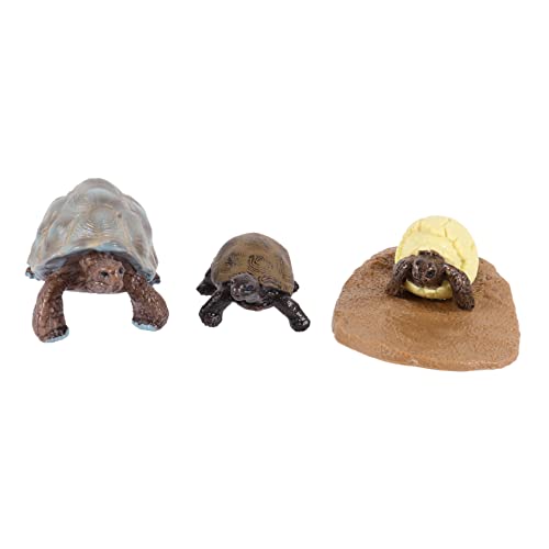 Supvox 1 Satz Simulierte Schildkröten Wachstumsmodelle für Kognitive Spiele Lernspielzeug für Naturerkundung Supvox 1 Satz Simulierte Schildkröten Wachstumsmodelle für Kognitive Spiele Lernspielzeug für Naturerkundung von Supvox