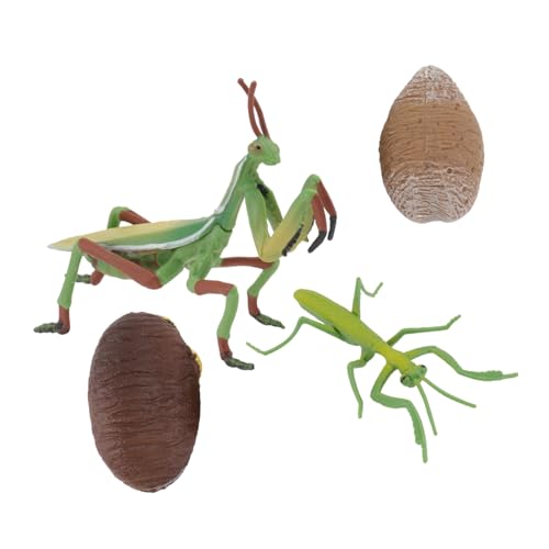 Supvox 1 Satz Wachstums zyklus Modell Tiere Figur Mantis-Modell PVC Supvox 1 Satz Wachstums zyklus Modell Tiere Figur Mantis-Modell PVC von Supvox