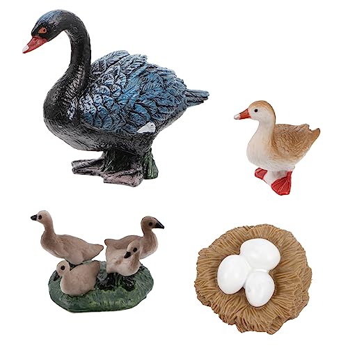 Supvox 4-teiliges Wachstumszyklus-Ornament-Set Vogelfiguren Spielzeug Für Jungen Und Mädchen Supvox 4-teiliges Wachstumszyklus-Ornament-Set Vogelfiguren Spielzeug Für Jungen Und Mädchen von Supvox